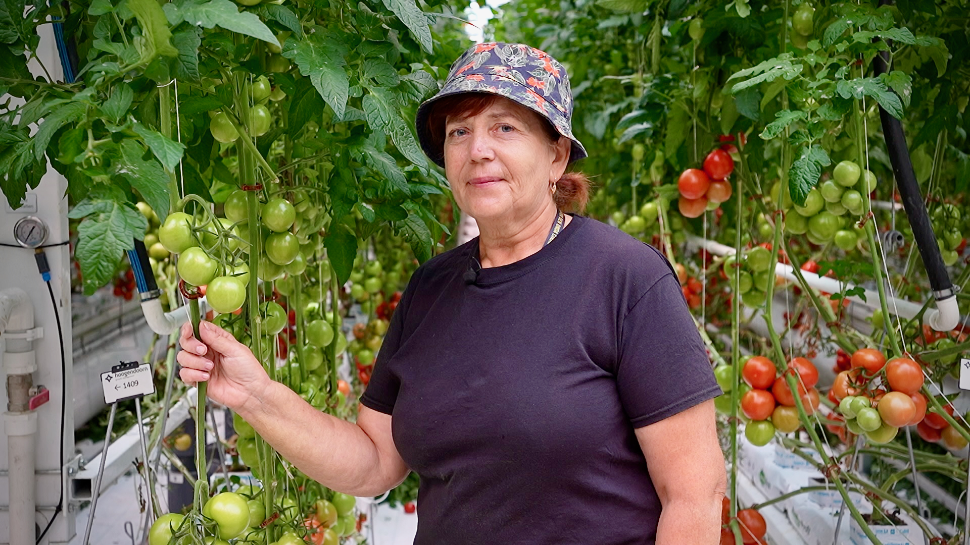 Mød Hanna som er medarbejderne i drivhuset i Frövi